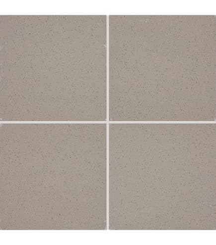 6x6 Ashen Gray Quarry Tile Abrasive (10) - Amazon.com